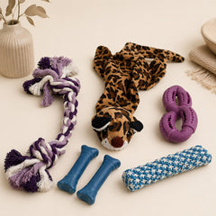 Billy pet speelgoed package met cotton ropes rubber
