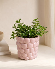 Decorative Kady flowerpot with glossy raised texture