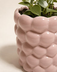 Pink ceramic planter with scalloped rim and green plant