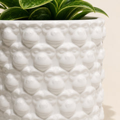 White ceramic planter with raised monkey faces
