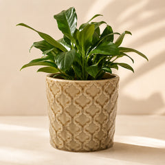 Mila handmade dark beige ceramic flowerpot with relief texture