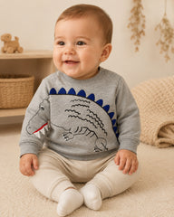 Pytteliten baby dinosaurus trui maat 68 74