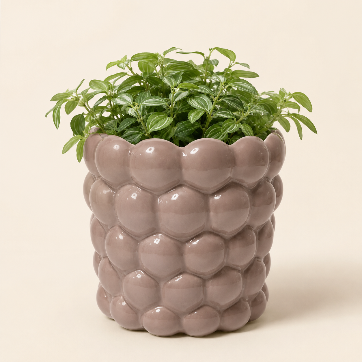 Handmade ceramic plant pot for indoor plants and herbs