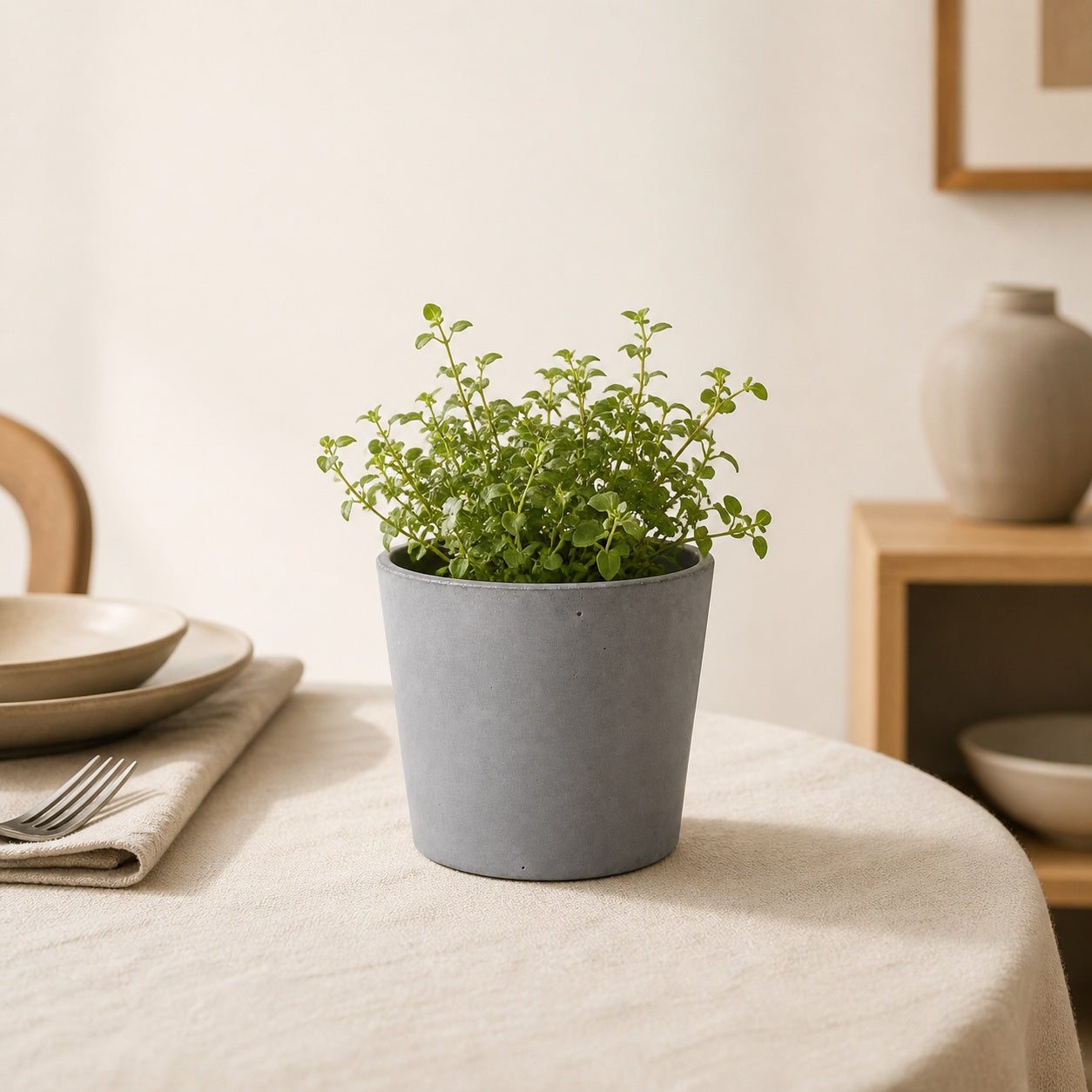 Compact grey plant pot for windowsill desk or patio
