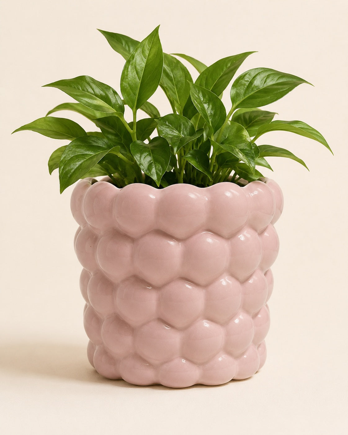 Handmade pink plant pot for indoor plants and herbs