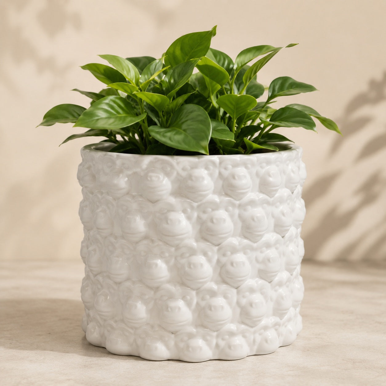 Macaca white ceramic flowerpot with monkey face relief