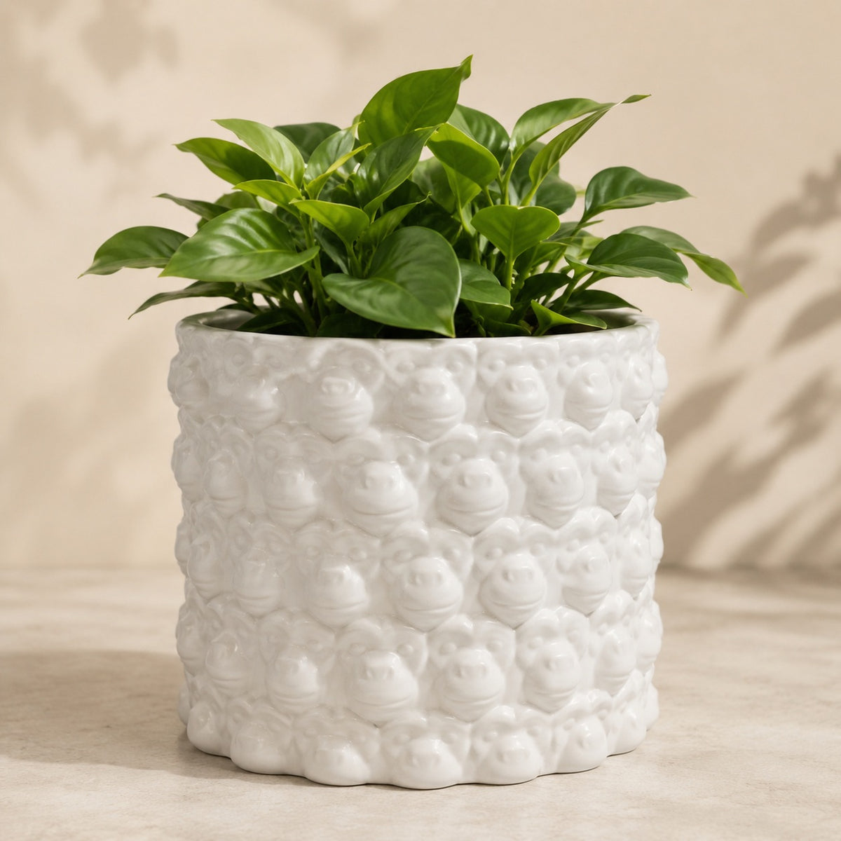 Macaca white ceramic flowerpot with monkey face relief