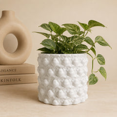 Round white ceramic plant pot with playful animal texture