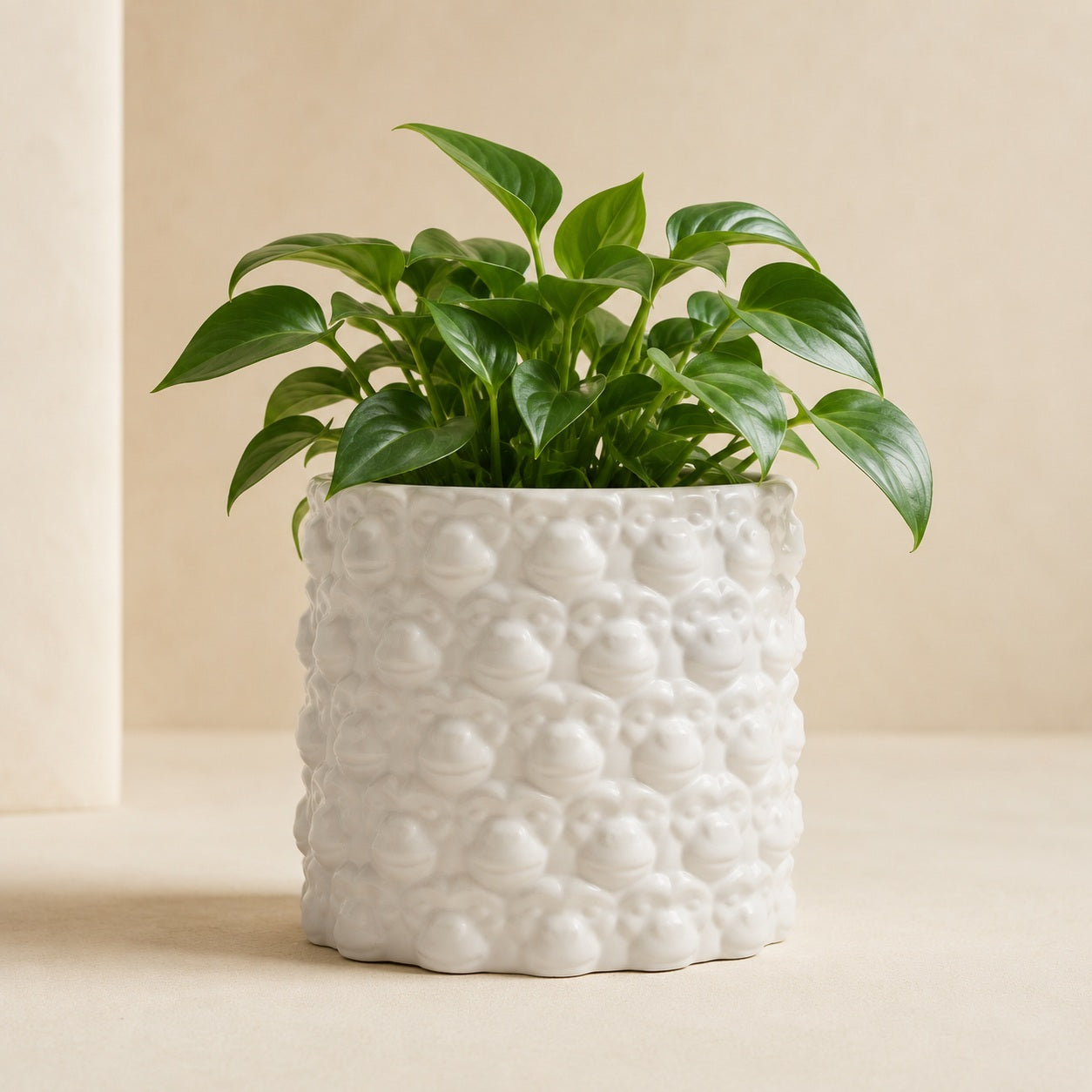 Ceramic monkey face planter for indoor houseplants