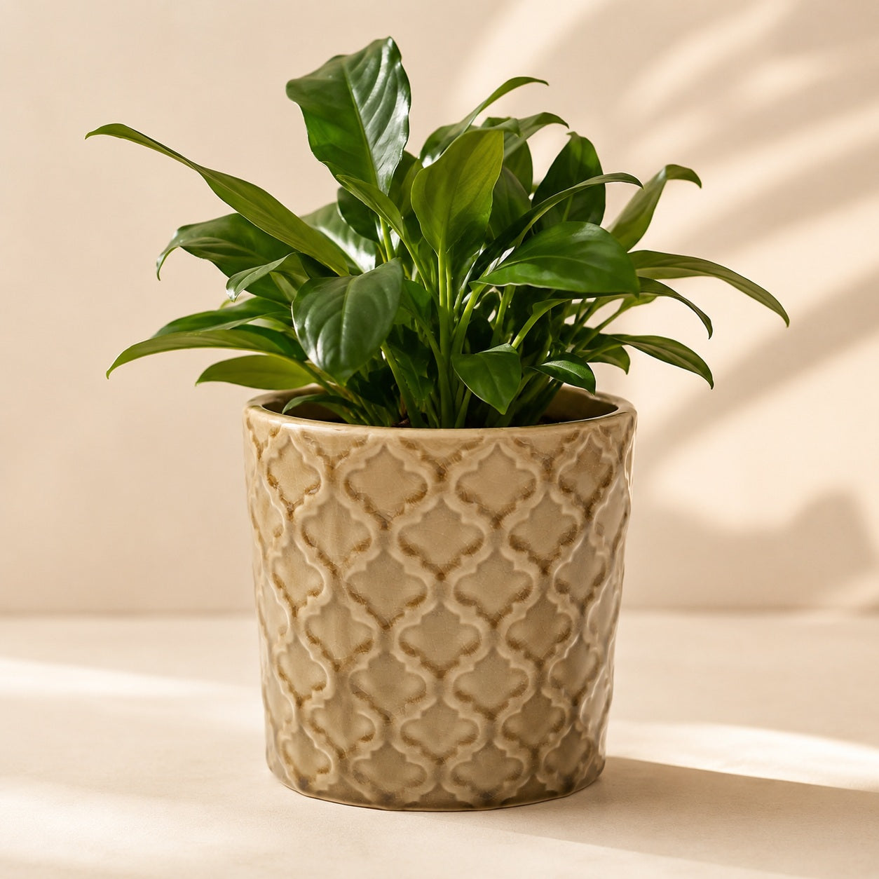 Mila handmade dark beige ceramic flowerpot with relief texture