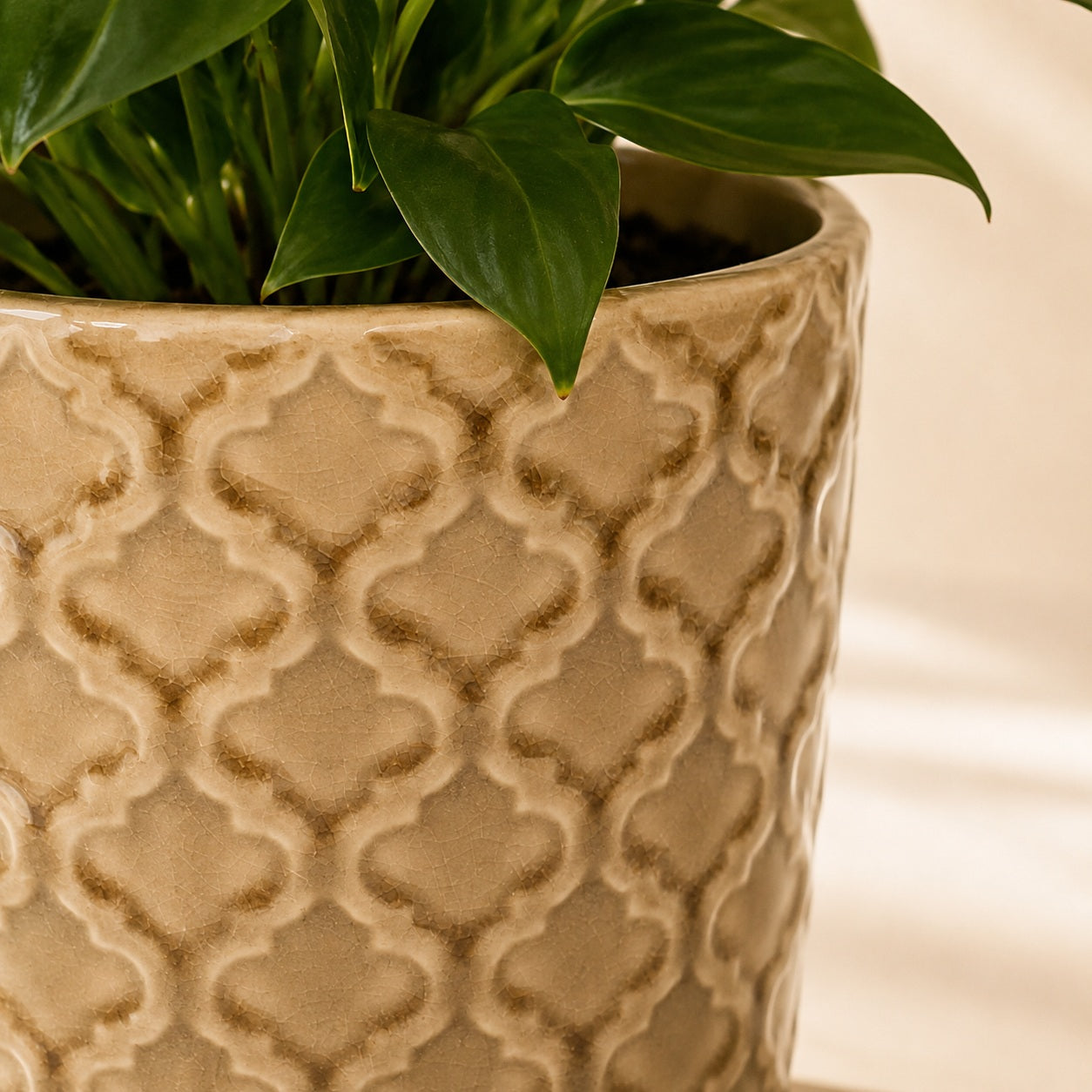 Dark beige ceramic planter with textured geometric design
