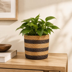 Rana Geweven Plantenmand met Kunststof Binnenvoering – 15 cm