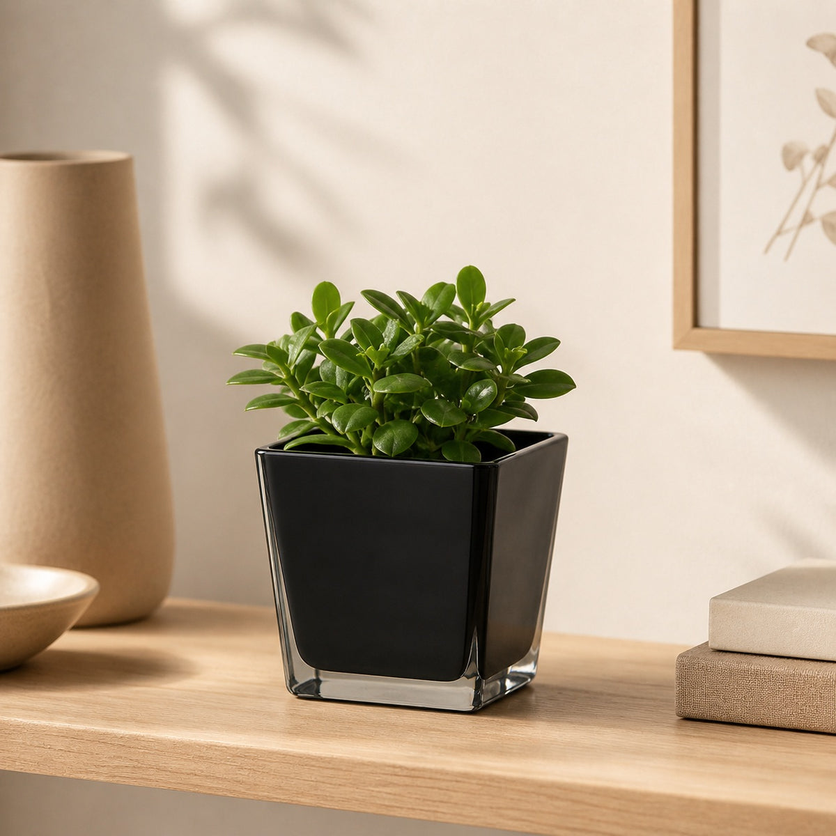 Black glass square flowerpot Sami 12 cm