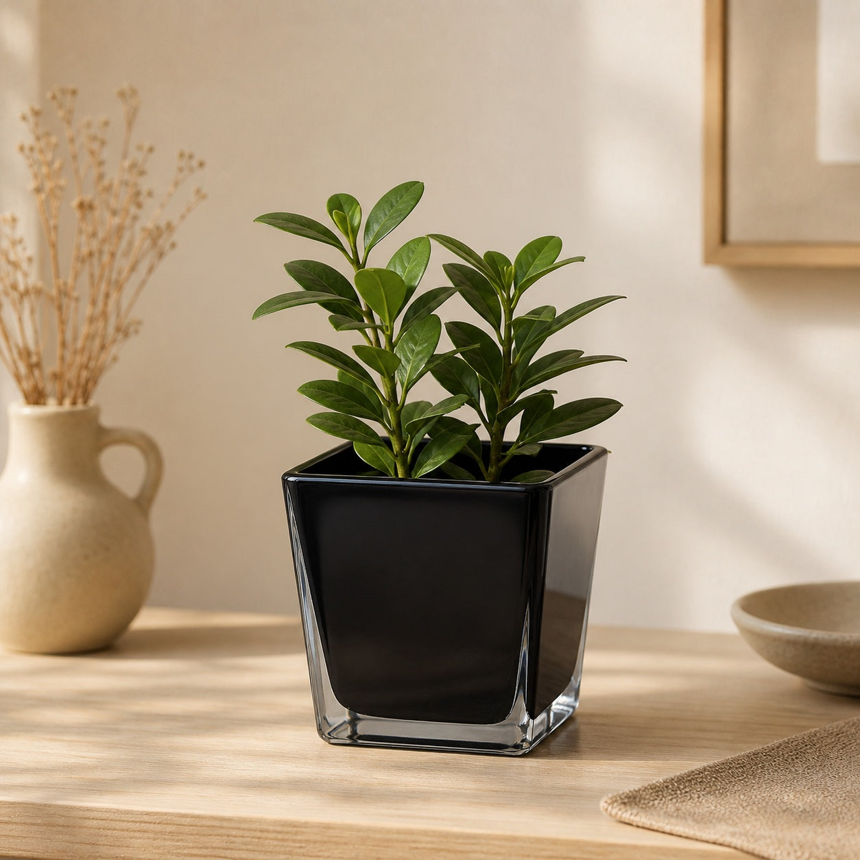 Small square black flowerpot with modern glass finish