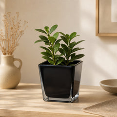 Small square black flowerpot with modern glass finish