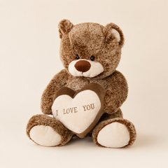Soft brown plush teddy bear holding heart
